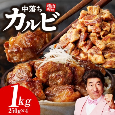 焼き肉専門店 自家製タレ漬け 中落カルビ 総量1kg 小分け 250g×4 G1357