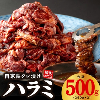 焼き肉専門店 自家製タレ漬け ハラミ 合計500g(250g×2) 099H2300