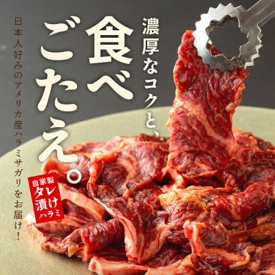 焼き肉専門店 自家製タレ漬け ハラミ 合計500g(250g×2) 099H2300