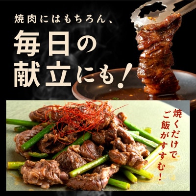 焼き肉専門店 自家製タレ漬け ハラミ 合計500g(250g×2) 099H2300