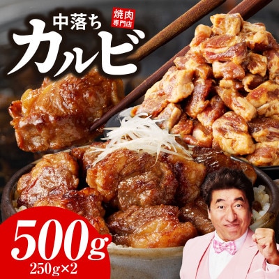 焼き肉専門店 自家製タレ漬け 中落ちカルビ 合計500g(250g×2) G1599
