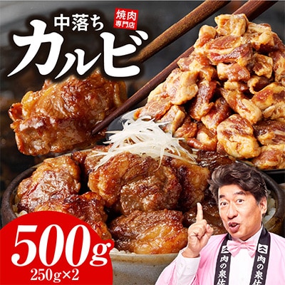 焼き肉専門店 自家製タレ漬け 中落ちカルビ 合計500g(250g×2)