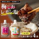 焼き肉専門店 梅じお レモン塩 スパイスセット 90g×合計4袋 お試し 099H2494