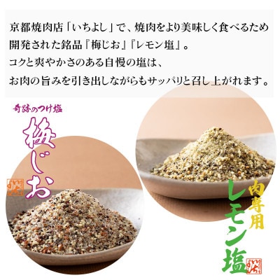 焼き肉専門店 梅じお レモン塩 スパイスセット 90g×合計4袋 お試し 099H2494