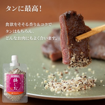 焼き肉専門店 梅じお レモン塩 スパイスセット 90g×合計4袋 お試し 099H2494