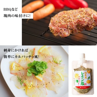 焼き肉専門店 梅じお レモン塩 スパイスセット 90g×合計4袋 お試し 099H2494