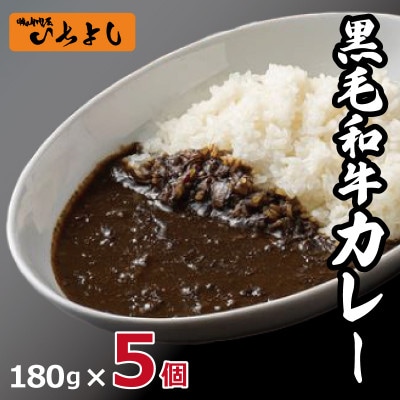 焼肉問屋いちよし 極旨和牛カレー 180g×5個 G1363
