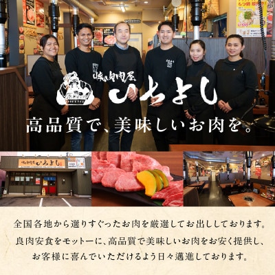 焼肉問屋いちよし 極旨和牛カレー 180g×5個 G1363