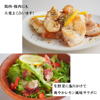 焼き肉専門店 レモン塩 スパイス 90g×3袋 お試し 005A560