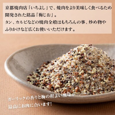 焼き肉専門店 梅じお ガーリック スパイス 90g×3袋 お試し 005A561
