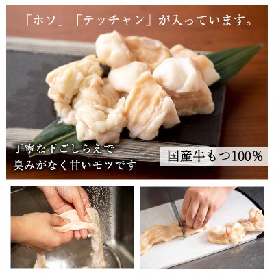 国産牛もつ100%「まろやか京風みそ」もつ鍋セット2～3人前 モツ入りスープ 1.2kg