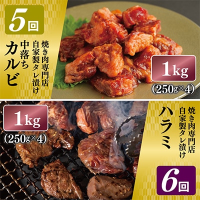 【毎月定期便】焼肉専門店厳選 大満足 焼肉セット(ハラミ カルビ 牛たん)全6回 G1371