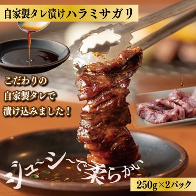 【毎月定期便】【さとふる限定】人気焼肉セット 焼肉問屋店主厳選 全4回 099Z230