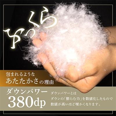 羽毛布団 1枚 ポーランド産グース贅沢仕様 シングル アイボリー 099H3100