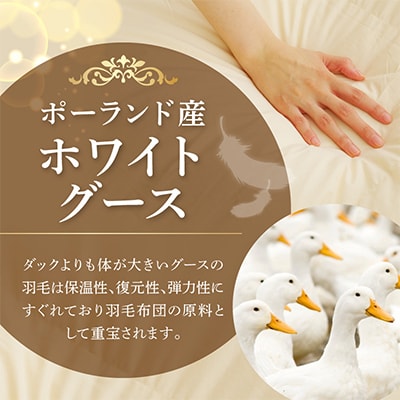 羽毛布団 2枚 ポーランド産グース贅沢仕様 シングル アイボリー 099H3101