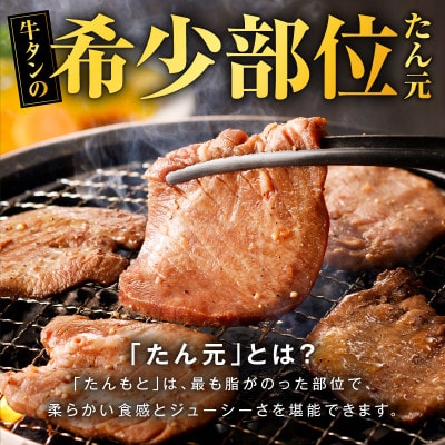 【たん元のみ】厳選牛たん 900g 暴れ盛りプレミアム 099H3334