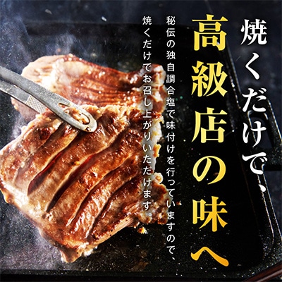 【たん元のみ】厳選牛たん 600g 暴れ盛りプレミアム G3612