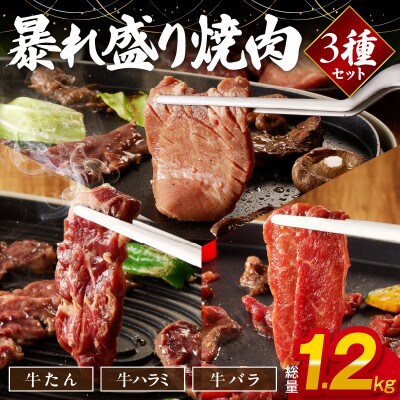 暴れ盛り 焼肉 3種セット 総量 1.2kg (牛タン/牛ハラミ/バラ)099H2875