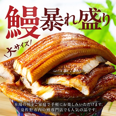 【訳あり】うなぎ 蒲焼き 暴れ盛り 合計 900g 真空パック