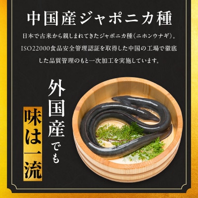 【訳あり】うなぎ 蒲焼き 暴れ盛り 合計 900g 真空パック 020C395