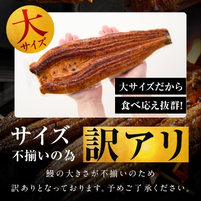 【訳あり】うなぎ 蒲焼き 暴れ盛り 合計 600g 真空パック 099H3537