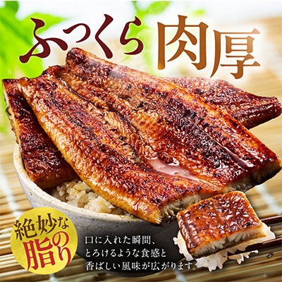 【訳あり】うなぎ 蒲焼き 暴れ盛り 合計 600g 真空パック 