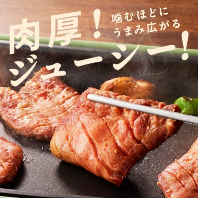 暴れ盛りセット 牛たん & うなぎ 総量1.2kg 厚切り牛タン 鰻 蒲焼き 030D202