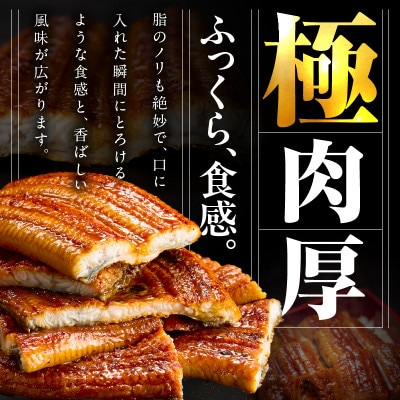 暴れ盛りセット 牛たん & うなぎ 総量1.2kg 厚切り牛タン 鰻 蒲焼き 030D202