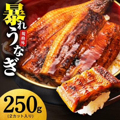 【規格外】うなぎ 暴れ盛り 250g(2カット) お試し かば焼き 簡単調理 訳あり G3973