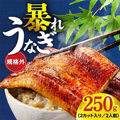 【規格外】うなぎ 暴れ盛り 250g(2カット) お試し かば焼き 簡単調理 訳あり G3973