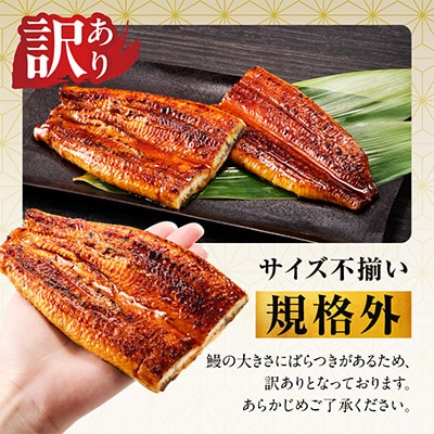 【規格外】うなぎ 暴れ盛り 250g(2カット) お試し かば焼き 簡単調理 訳あり G3973