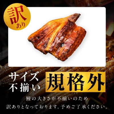 【規格外】うなぎ 暴れ盛り 250g(2カット) お試し かば焼き 簡単調理 訳あり G3973