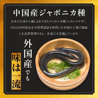 【規格外】うなぎ 暴れ盛り 250g(2カット) お試し かば焼き 簡単調理 訳あり G3973