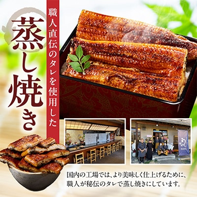 【規格外】うなぎ 暴れ盛り 250g(2カット) お試し かば焼き 簡単調理 訳あり G3973