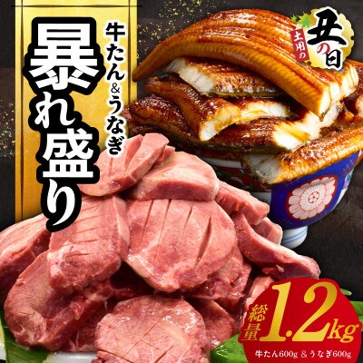 【7/26土用の丑の日】暴れ盛りセット 牛たん & うなぎ 総量1.2kg G3614d