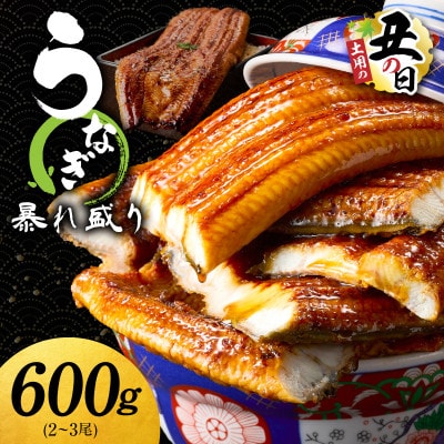 【7/26土用の丑の日】うなぎ 蒲焼き 暴れ盛り 合計600g 真空パック G3615d