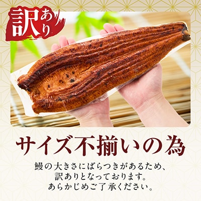 【7/26土用の丑の日】うなぎ 蒲焼き 暴れ盛り 合計600g 真空パック 