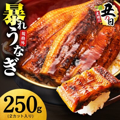 【7/26土用の丑の日】うなぎ 暴れ盛り 250g(2カット) 規格外 お試し G3973d