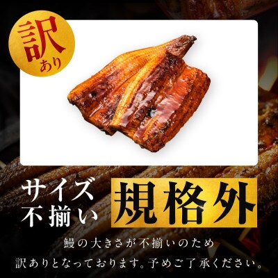 【7/26土用の丑の日】うなぎ 暴れ盛り 250g(2カット) 規格外 お試し G3973d