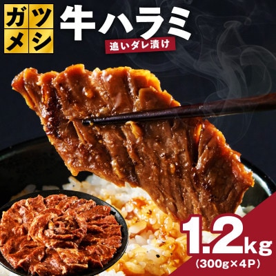 ガツめし牛ハラミ 1.2kg 追いダレ漬け 300g×4 訳アリ