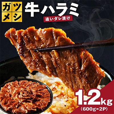 ガツめし牛ハラミ 1.2kg 追いダレ漬け 600g×2 訳アリ