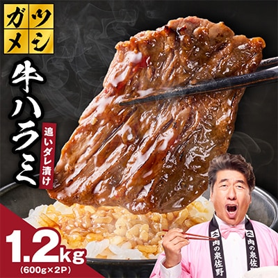 ガツめし牛ハラミ 1.2kg 追いダレ漬け 600g×2 訳アリ