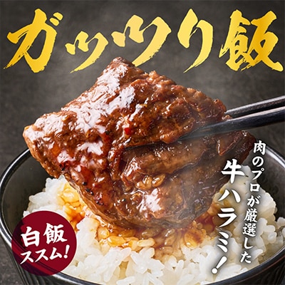 ガツめし牛ハラミ 1.2kg 追いダレ漬け 600g×2 訳アリ