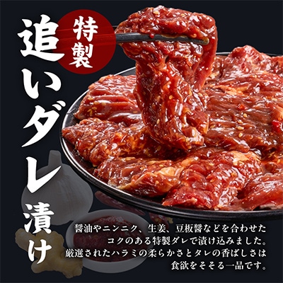 ガツめし牛ハラミ 1.2kg 追いダレ漬け 600g×2 訳アリ