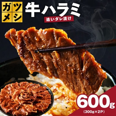 ガツめし牛ハラミ 600g 追いダレ漬け 300g×2 訳アリ