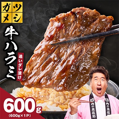 ガツめし牛ハラミ 600g 追いダレ漬け 600g×1 訳アリ
