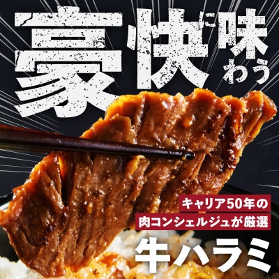 ガツめし牛ハラミ 600g 追いダレ漬け 300g×2 訳アリ