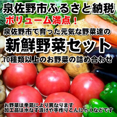 ボリューム大満点!新鮮な旬の野菜セット 010B507
