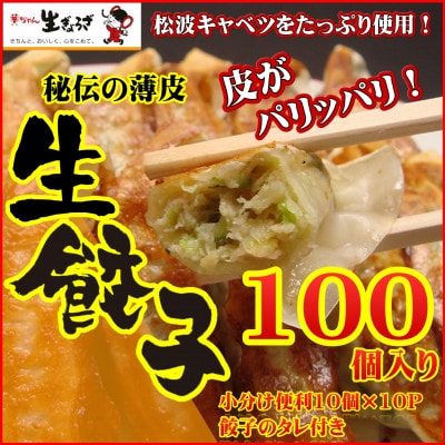 甘いと評判の松波キャベツ使用!生餃子100個セット 010B530 | ふるさと納税のお礼品