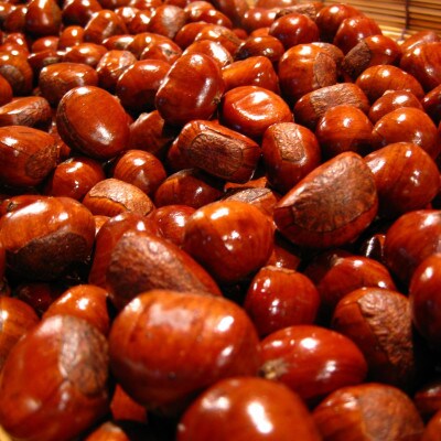 当店自慢の天津甘栗 800g 小分け 400g×2袋 099H2328